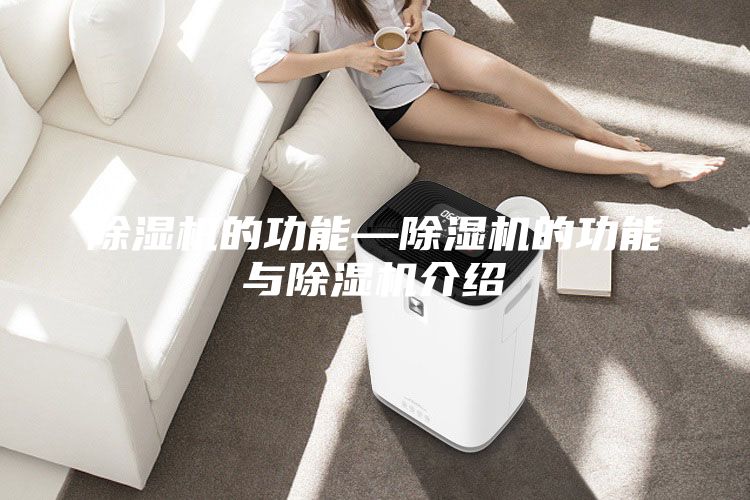 除湿机的功能—除湿机的功能与除湿机介绍