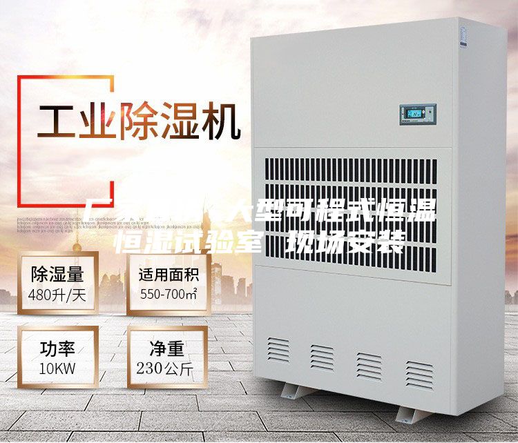 厂家直销 大型可程式恒温恒湿试验室 现场安装