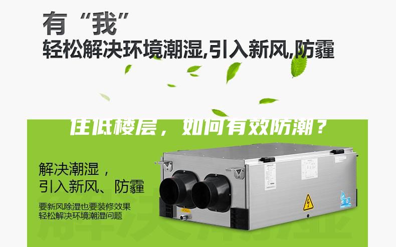 住低楼层，如何有效防潮？