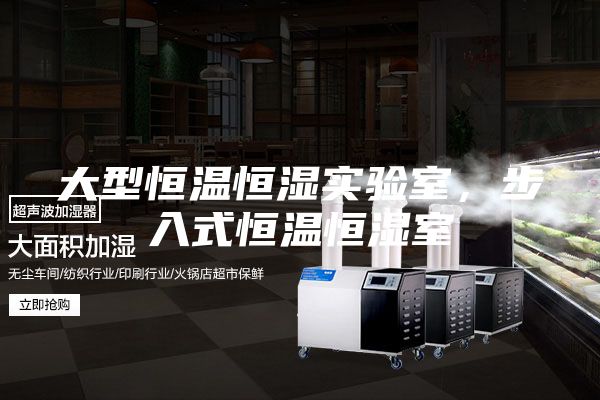 大型恒温恒湿实验室，步入式恒温恒湿室