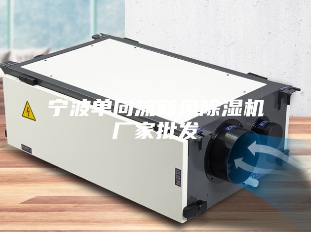 宁波单向流新风除湿机厂家批发