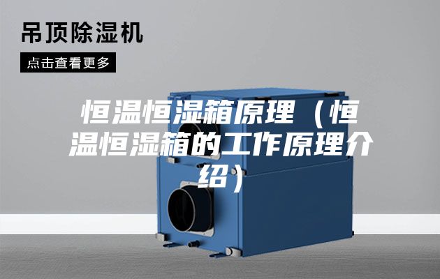 恒温恒湿箱原理（恒温恒湿箱的工作原理介绍）