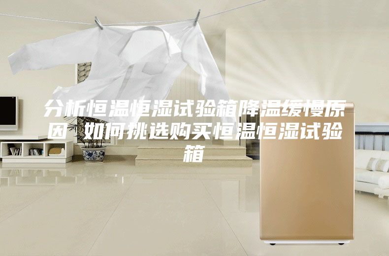 分析恒温恒湿试验箱降温缓慢原因 如何挑选购买恒温恒湿试验箱