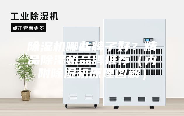 除湿机哪些牌子好？精品除湿机品牌推荐（内附除湿机原理图解）