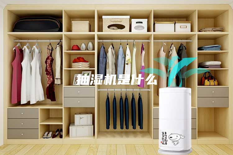 抽湿机是什么