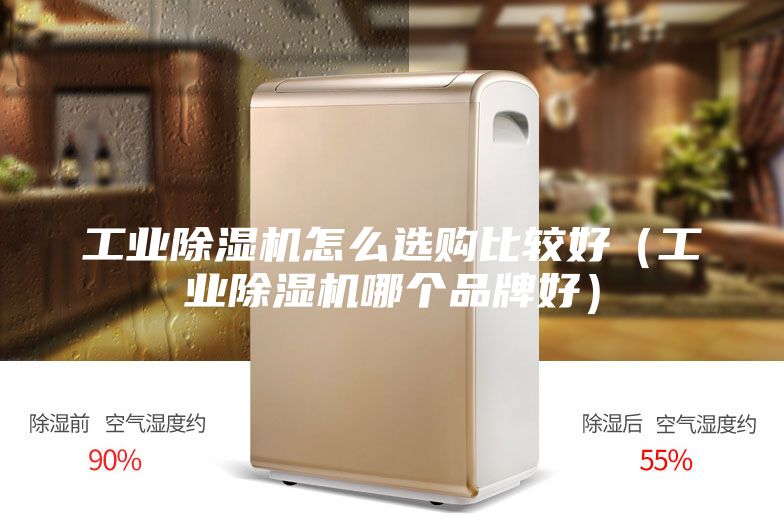 工业除湿机怎么选购比较好（工业除湿机哪个品牌好）