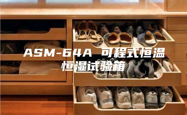 ASM-64A 可程式恒温恒湿试验箱