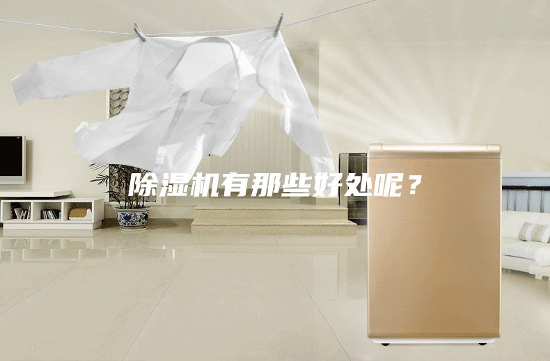 除湿机有那些好处呢？