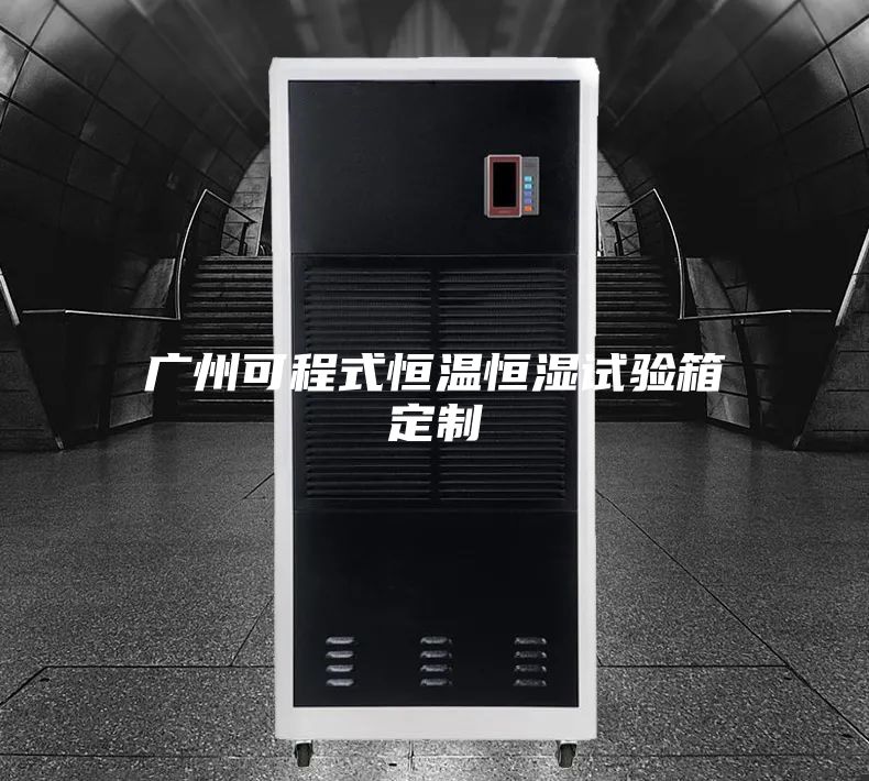 广州可程式恒温恒湿试验箱定制