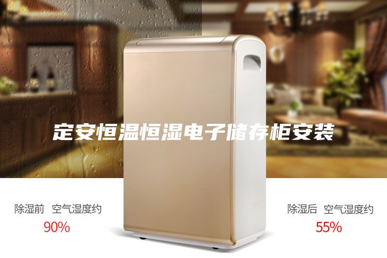 定安恒温恒湿电子储存柜安装