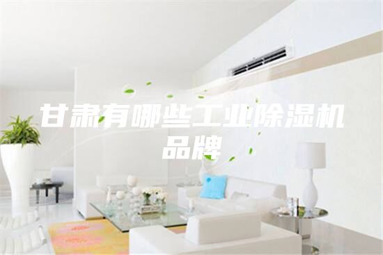 甘肃有哪些工业除湿机品牌