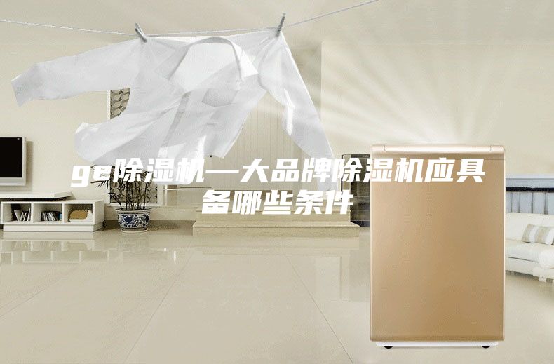 ge除湿机—大品牌除湿机应具备哪些条件