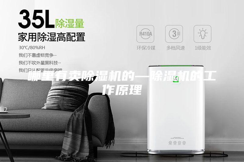 哪里有卖除湿机的—除湿机的工作原理