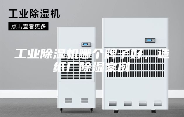 工业除湿机哪个牌子好，造纸厂除湿案例