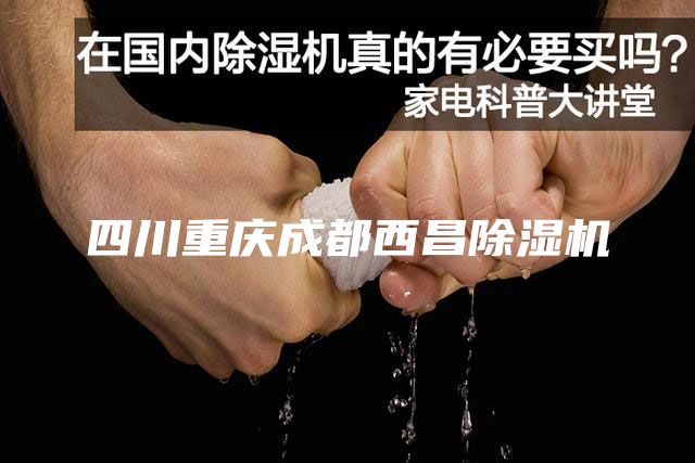 四川重庆成都西昌除湿机