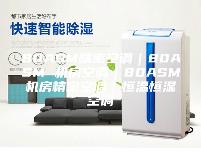 80ASM精密空调｜80ASM 机房空调｜80ASM机房精密空调｜恒温恒湿空调