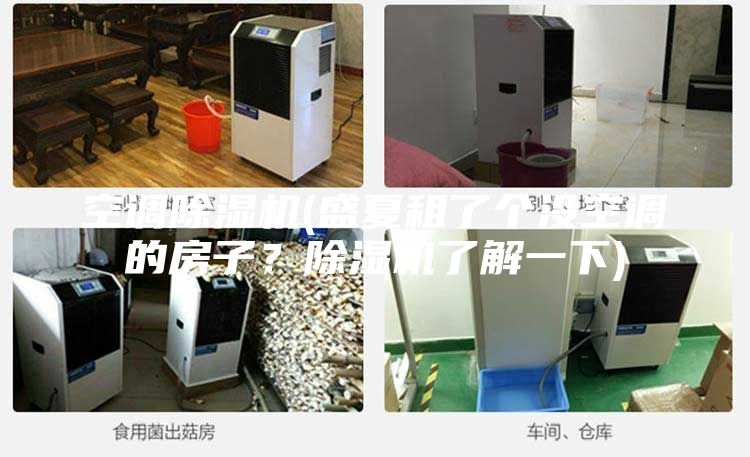 空调除湿机(盛夏租了个没空调的房子？除湿机了解一下)