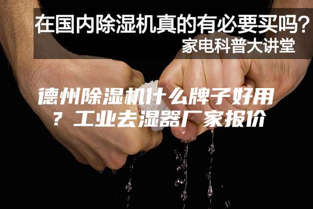 德州除湿机什么牌子好用？工业去湿器厂家报价