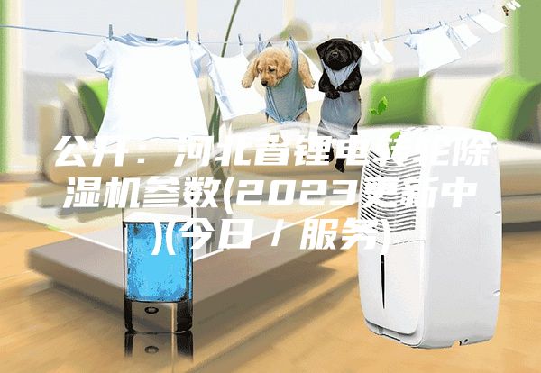 公开：河北省锂电转轮除湿机参数(2023更新中)(今日／服务)