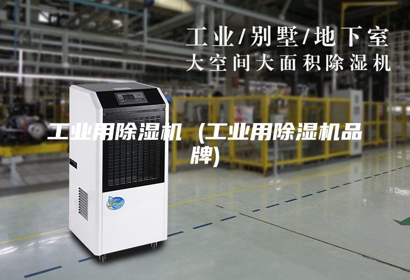 工业用除湿机 (工业用除湿机品牌)