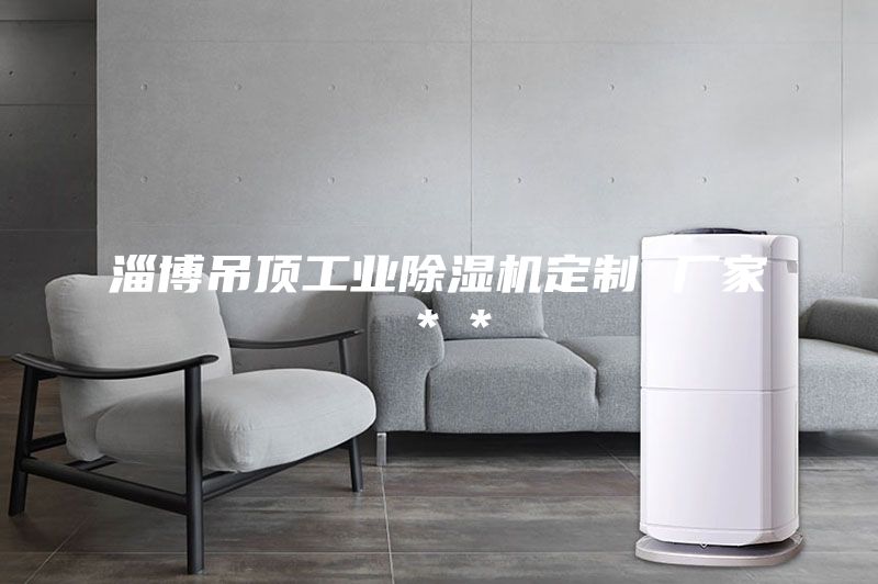 淄博吊顶工业除湿机定制 厂家＊＊