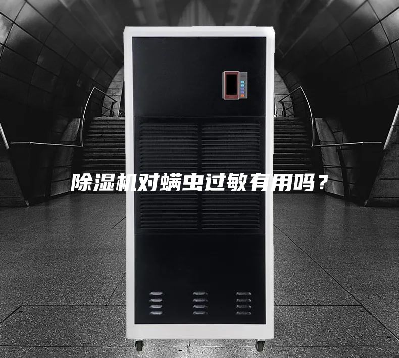 除湿机对螨虫过敏有用吗？