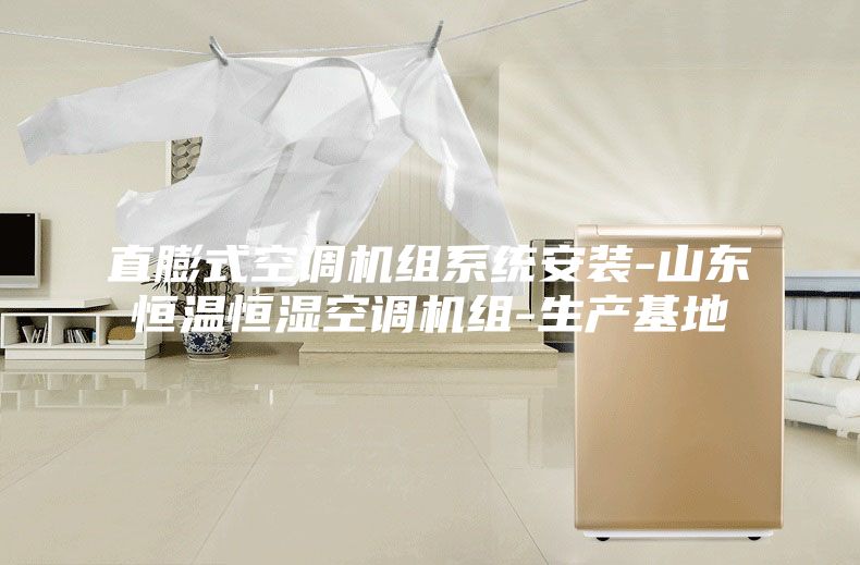直膨式空调机组系统安装-山东恒温恒湿空调机组-生产基地