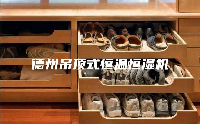 德州吊顶式恒温恒湿机