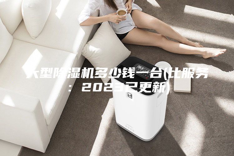 大型除湿机多少钱一台(比服务：2023已更新)