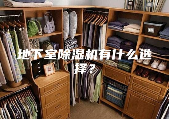 地下室除湿机有什么选择？