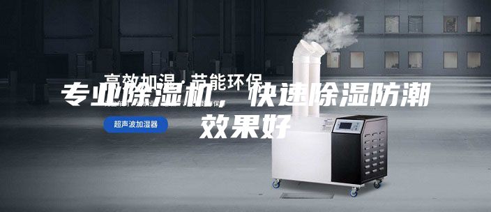 专业除湿机，快速除湿防潮效果好