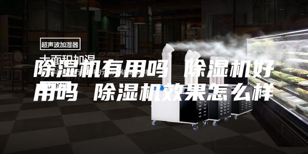 除湿机有用吗 除湿机好用吗 除湿机效果怎么样