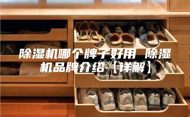 除湿机哪个牌子好用 除湿机品牌介绍【详解】