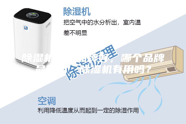 除湿机哪些品牌好，哪个品牌最好用，除湿机有用吗？