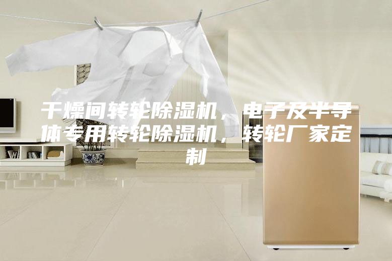 干燥间转轮除湿机，电子及半导体专用转轮除湿机，转轮厂家定制