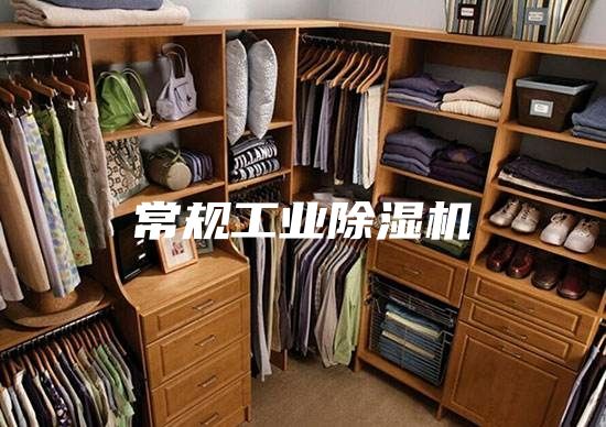 常规工业除湿机