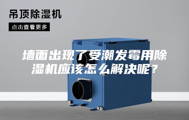 墙面出现了受潮发霉用除湿机应该怎么解决呢？