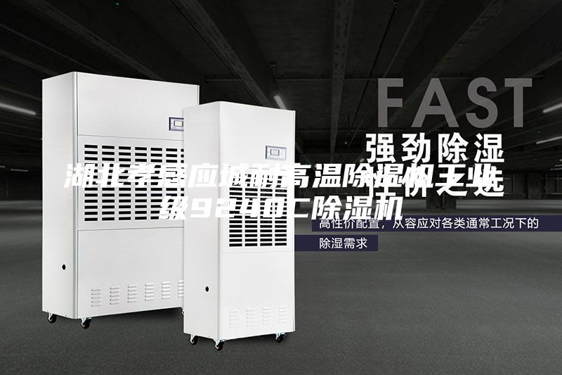 湖北孝感应城耐高温除湿机工业级9240C除湿机