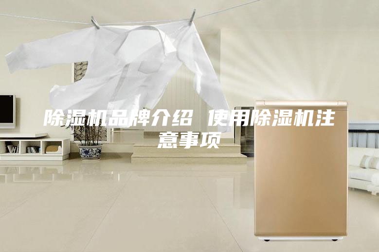 除湿机品牌介绍 使用除湿机注意事项
