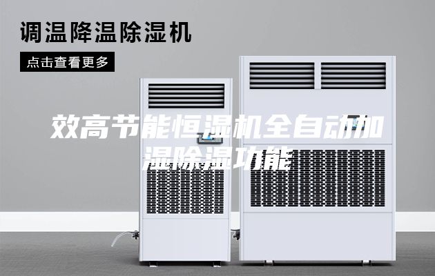 效高节能恒湿机全自动加湿除湿功能