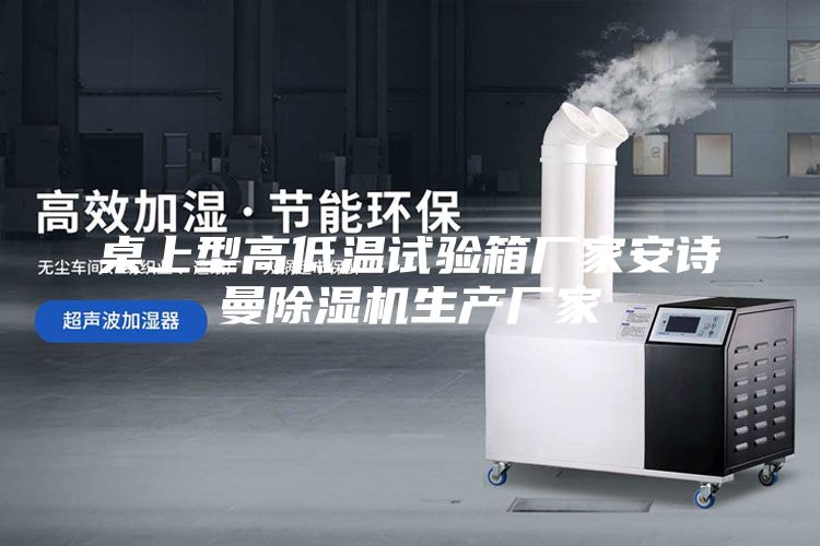 桌上型高低温试验箱厂家安诗曼除湿机生产厂家