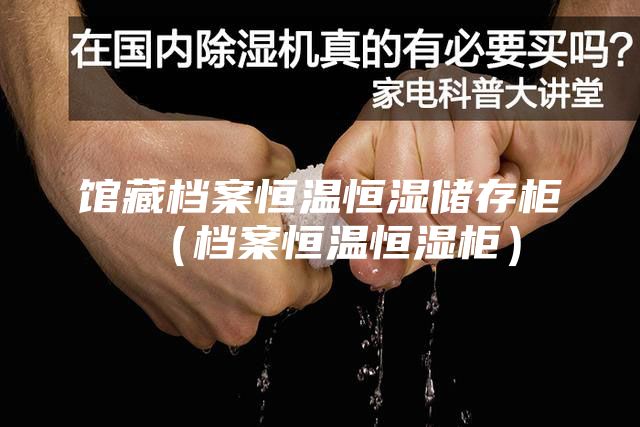 馆藏档案恒温恒湿储存柜（档案恒温恒湿柜）