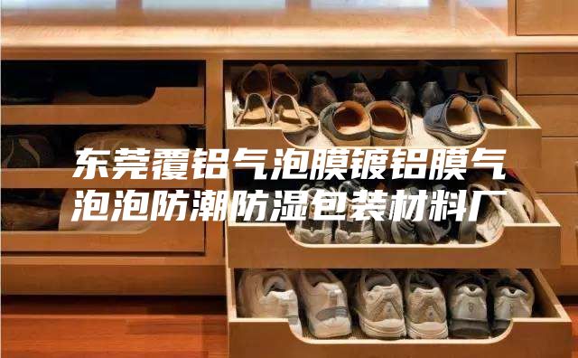 东莞覆铝气泡膜镀铝膜气泡泡防潮防湿包装材料厂