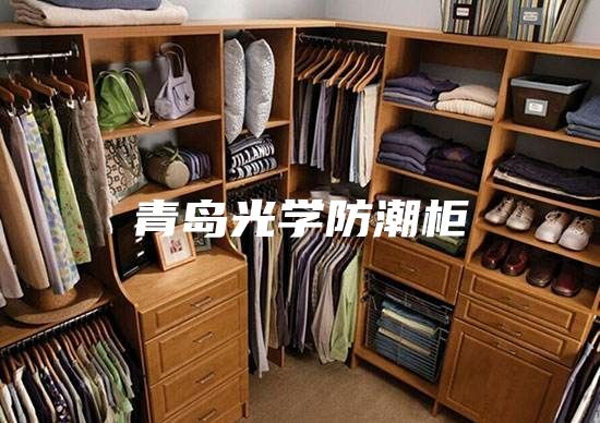青岛光学防潮柜