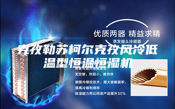 克孜勒苏柯尔克孜风冷低温型恒温恒湿机