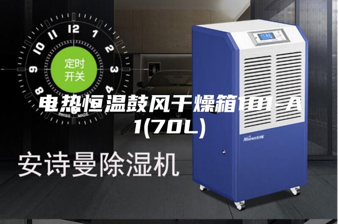 电热恒温鼓风干燥箱101-A1(70L)