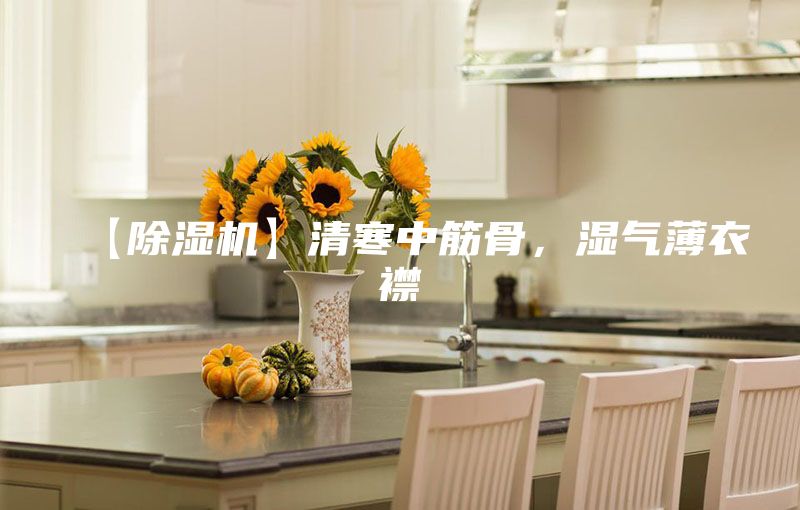 【除湿机】清寒中筋骨，湿气薄衣襟