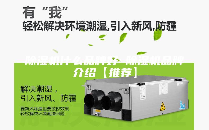 除湿机什么品牌好 除湿机品牌介绍【推荐】