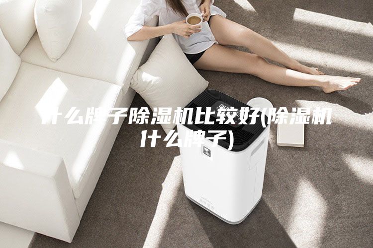 什么牌子除湿机比较好(除湿机什么牌子)
