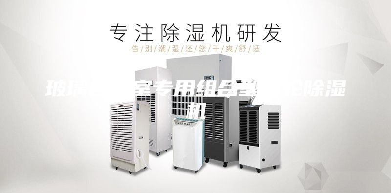 玻璃合片室专用组合型转轮除湿机